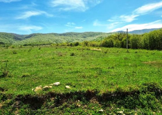 Urgently For sale 2527 m² land plot in Mtskheta