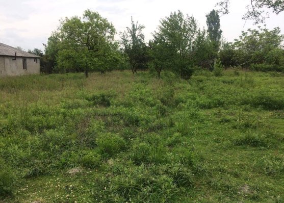 For sale 529 m² land plot in Anaklia