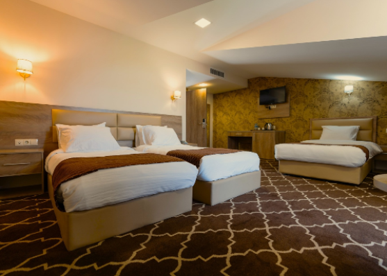 Urgently For sale 1246 m² Hotel in Avlabari, in Tbilisi
