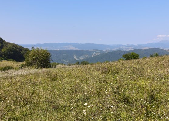 იყიდება 1 ჰექტარი მიწა